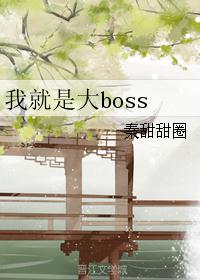 �Ҿ��Ǵ�boss
